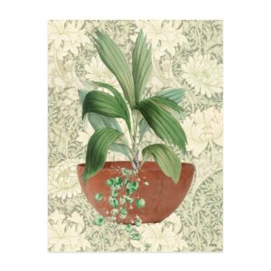 Lamina Maceta Y Plantas