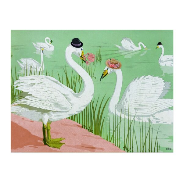 Lámina Cisnes Con Sombreros