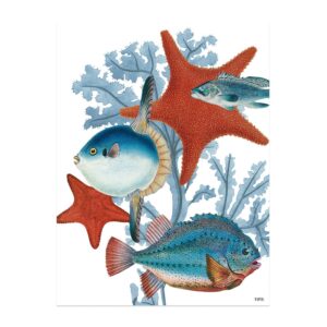 Lámina Peces