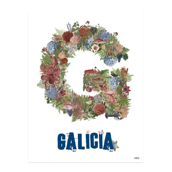 Lamina G Galicia