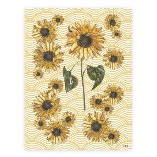 Lamina Sunflowers