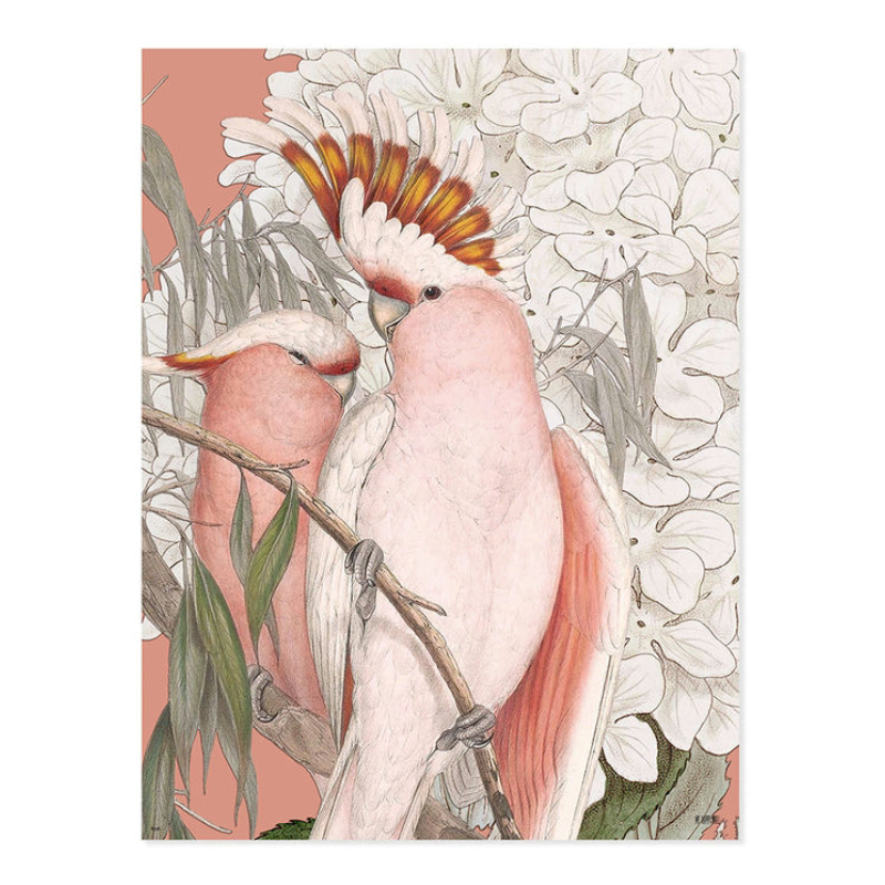 Lámina Cacatúas Rosas