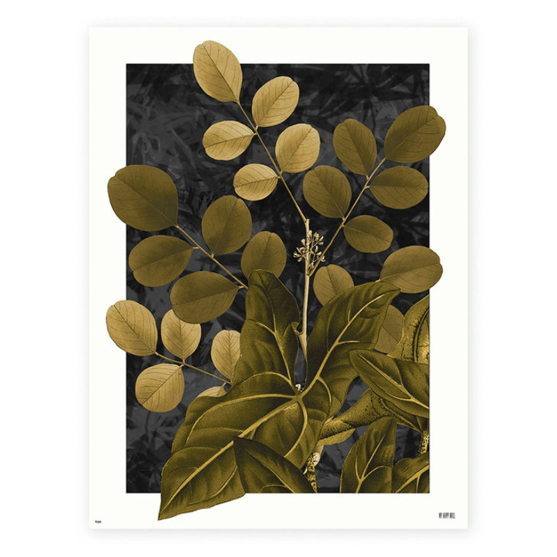 Lámina Plantas Doradas Negro