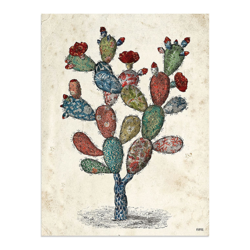 Lámina Cactus Tapizado