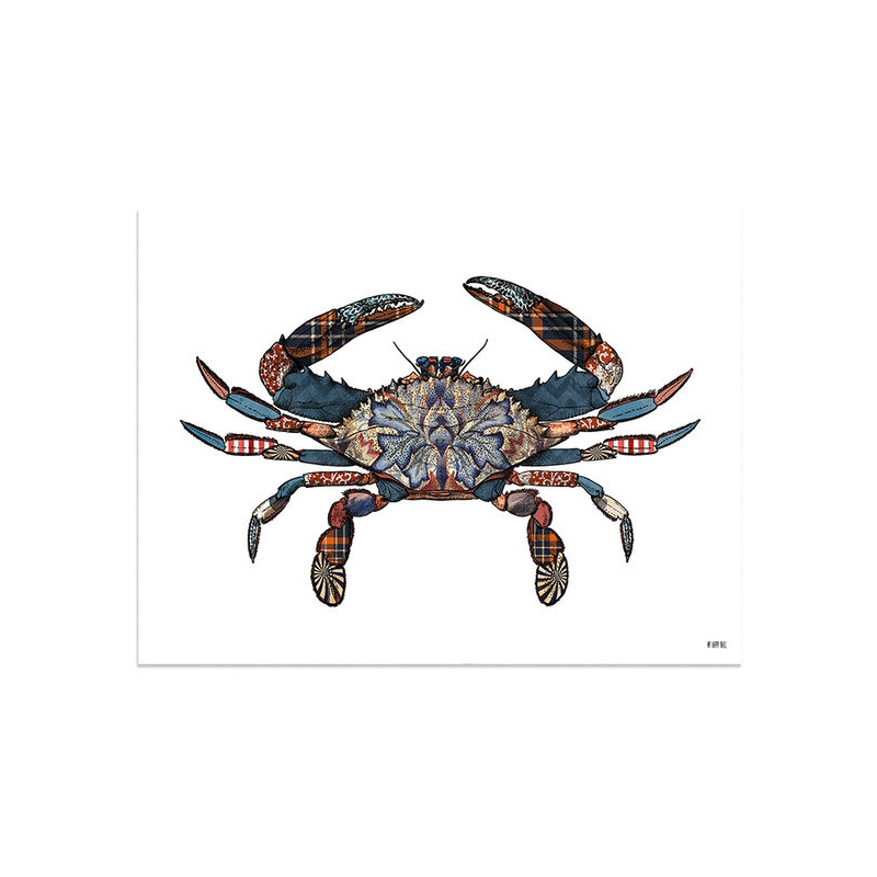 Lámina Cangrejo Tapizado