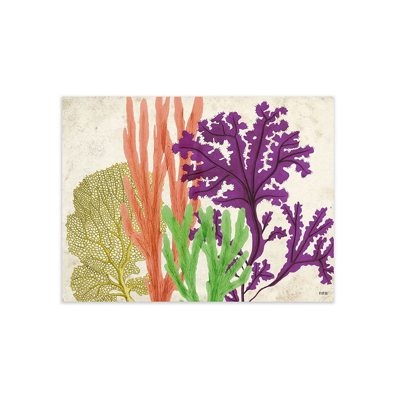 Lámina Fondo del Mar