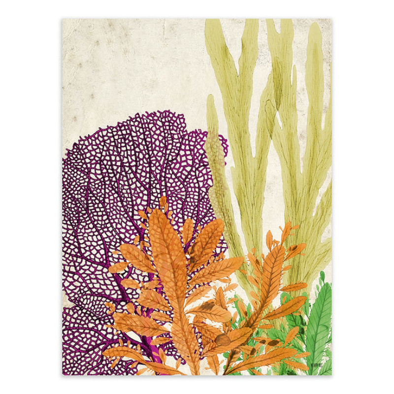 Lámina Fondo del Mar Vertical