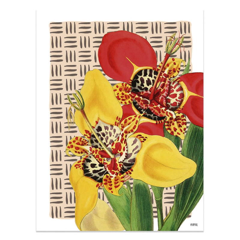 Lámina Flores Amarillo y Naranja