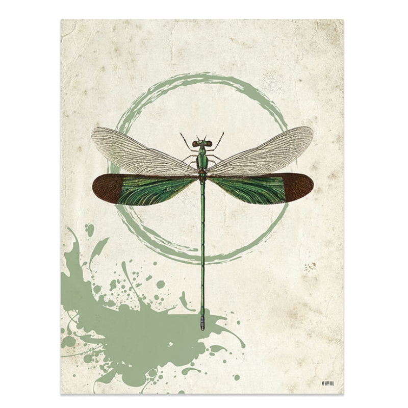 Lámina Libélula Verde