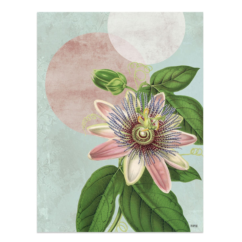 Lámina Flor Tropical