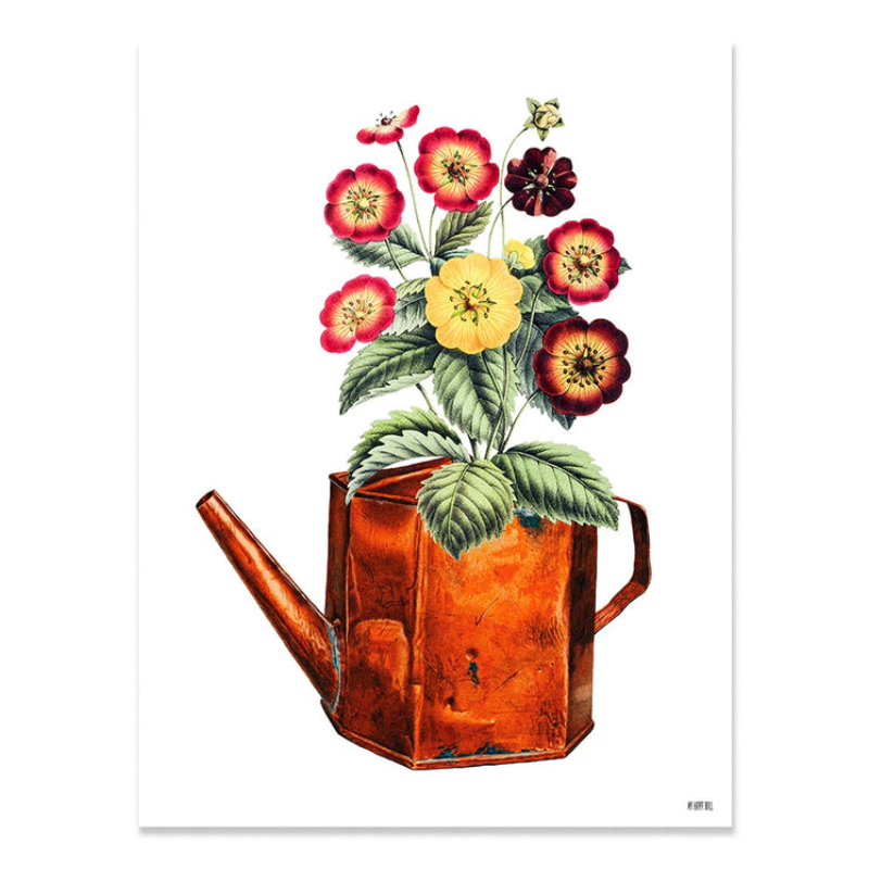 Lámina Regadera y Flores