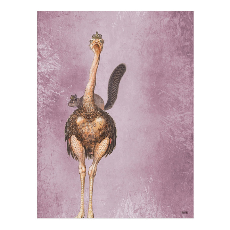 Lámina Avestruz Morado