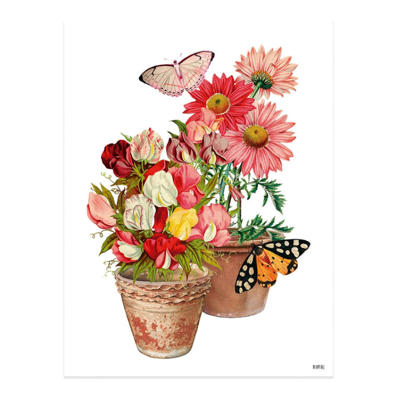 Lámina Maceta Plantas y Mariposas