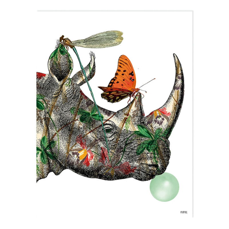 Lámina Rino Insectos