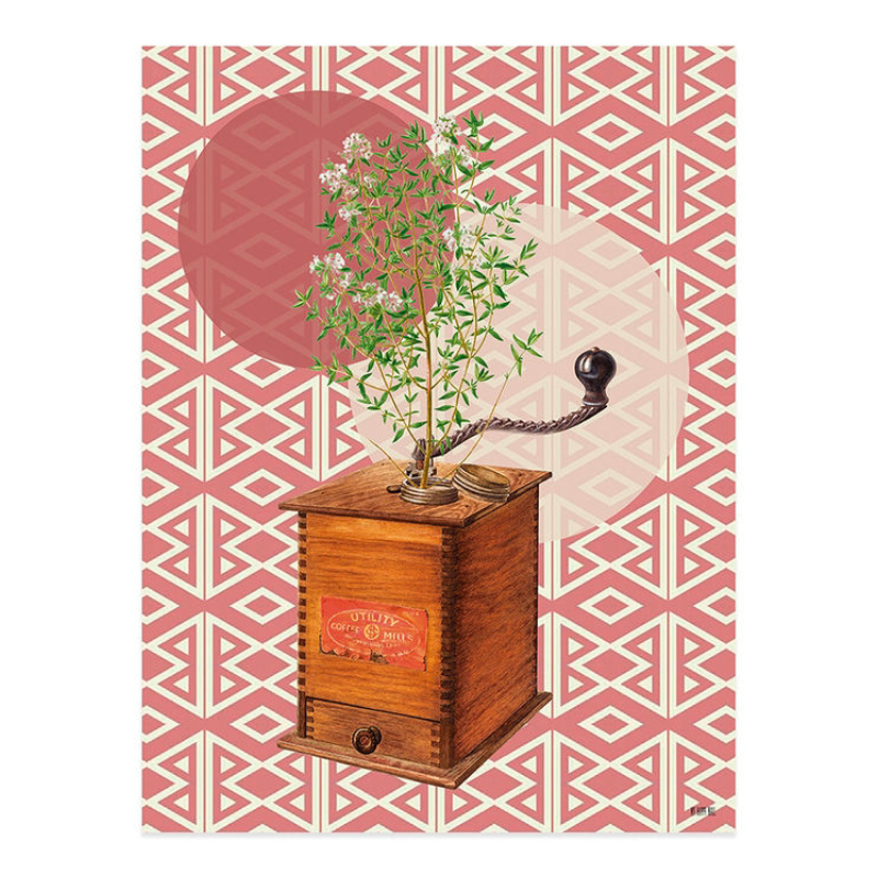 Lámina Molinillo Rama