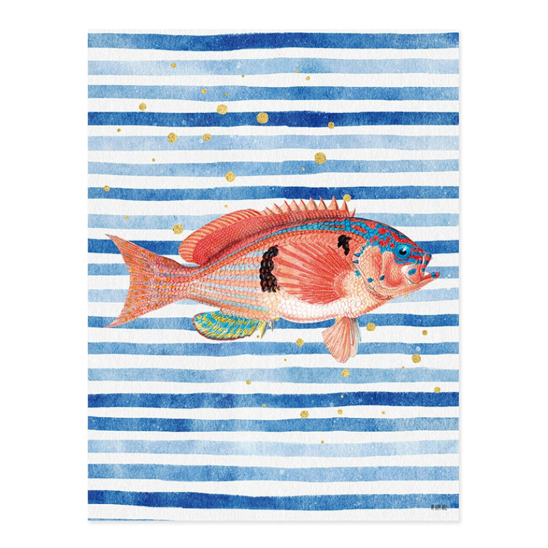 Lámina Pez Sobre Rayas Azules