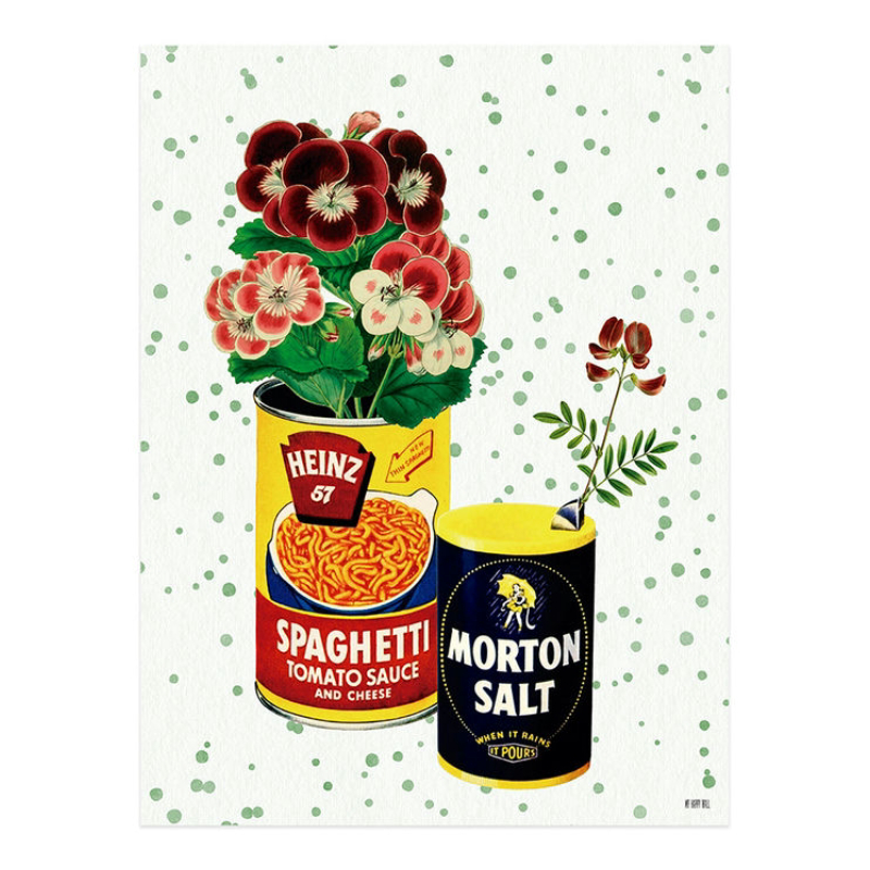 Lámina Latas con Planta