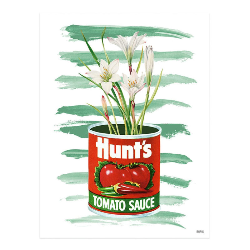 Lámina Lata Salsa Tomate