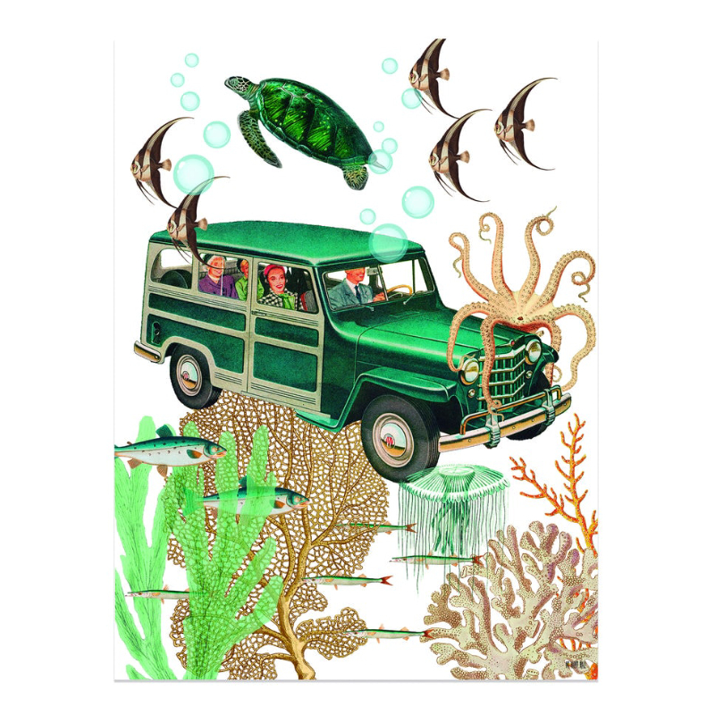 Lámina Coche Acuático