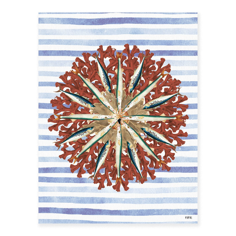 Lámina Estrella Peces