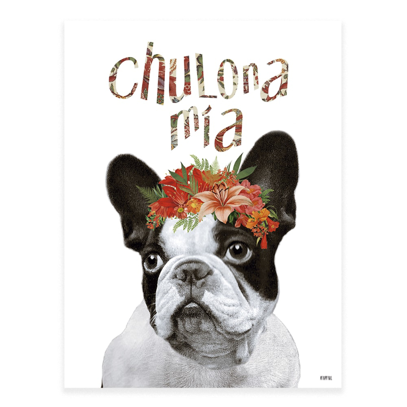 Lámina Chulona Bulldog Web