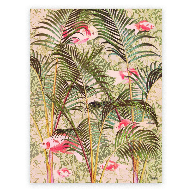 Lámina Peces Escondidos