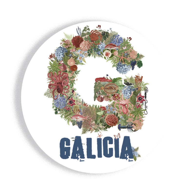 Chapa Galicia