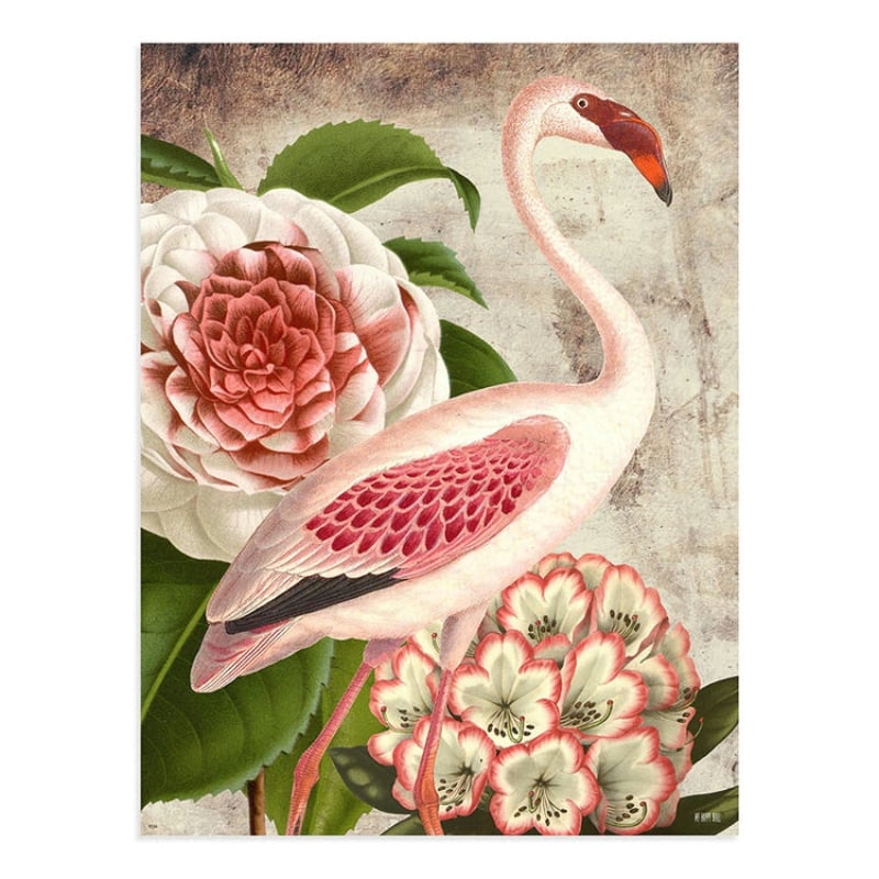 Lámina Flamenco Flores Rosa Blanco
