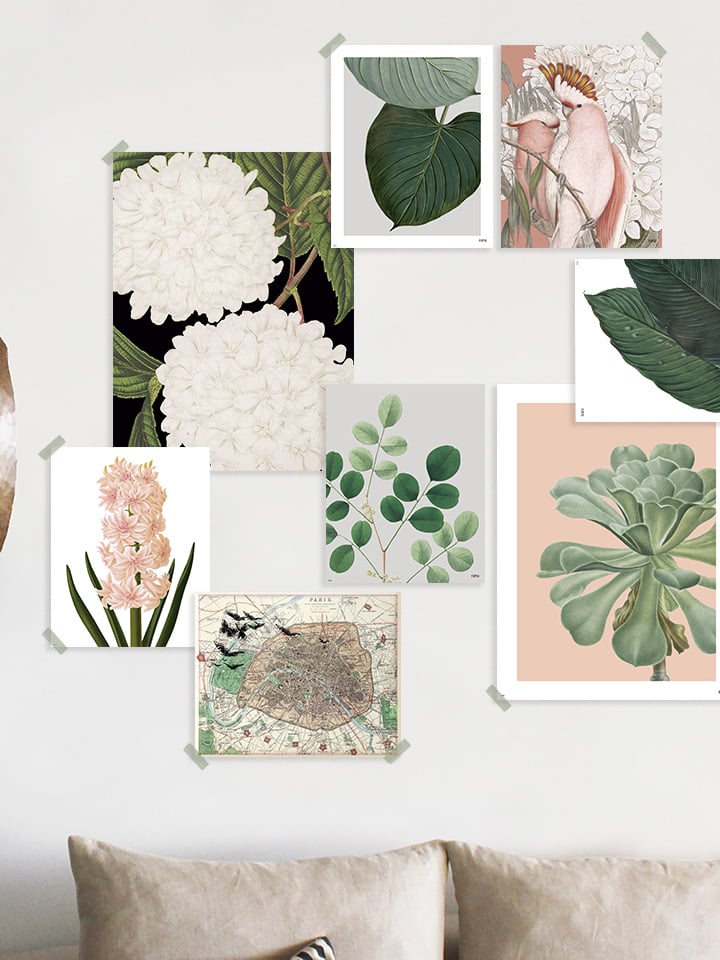 Lámina Planta Fondo Gris - Imagen 2