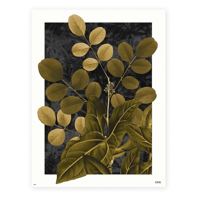 Lámina Plantas Doradas Negro