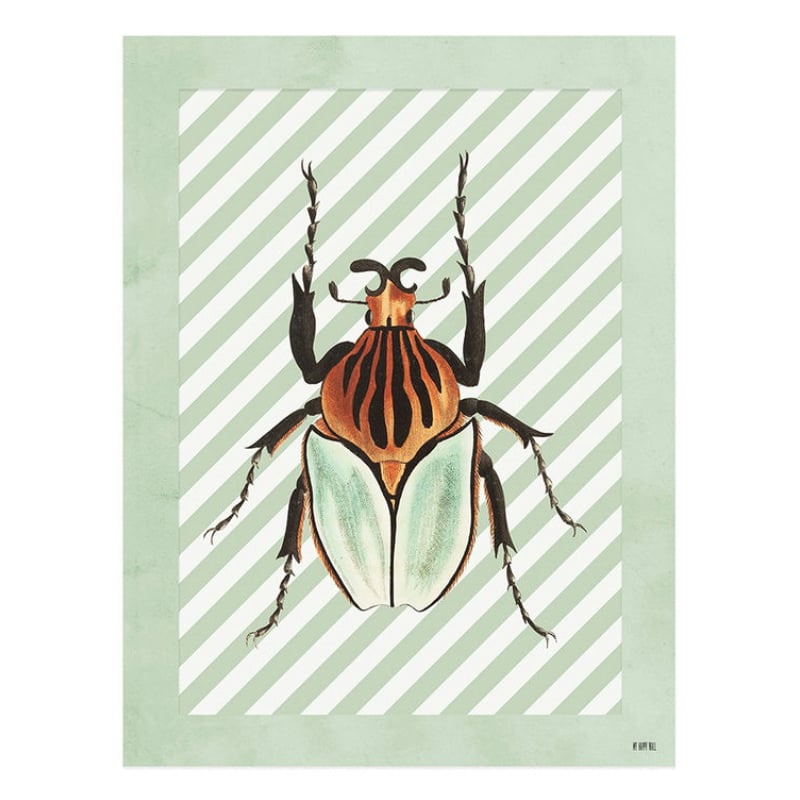 Lámina Escarabajo Verde