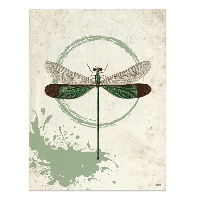 Lámina Libélula Verde