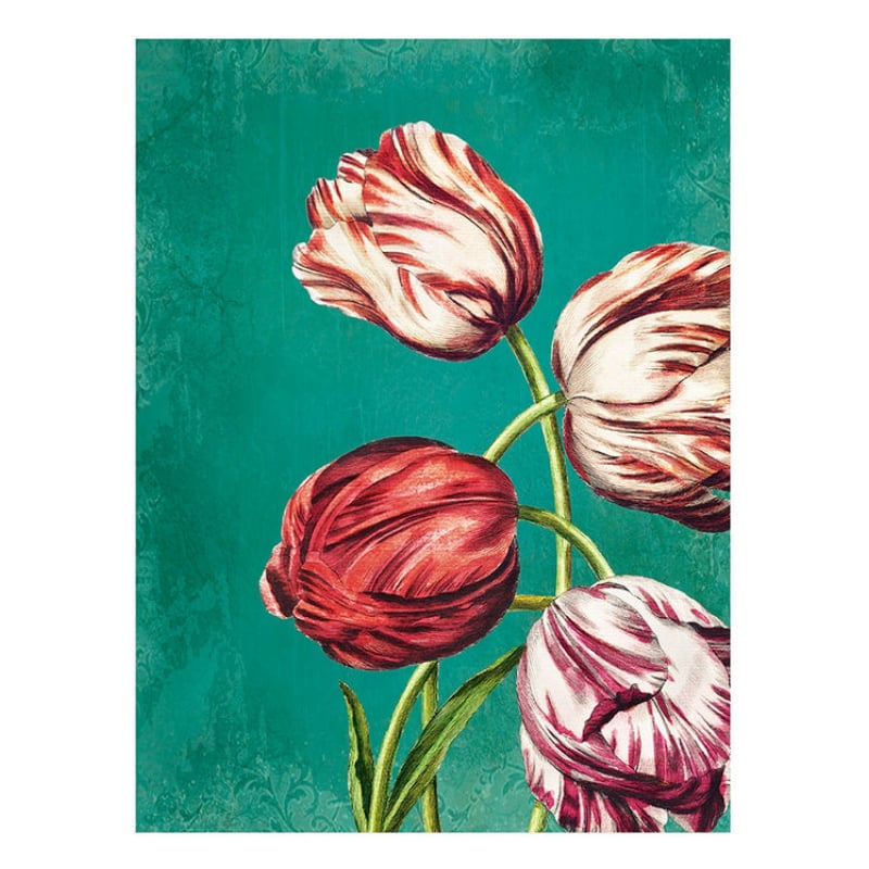 Lámina Tulipanes