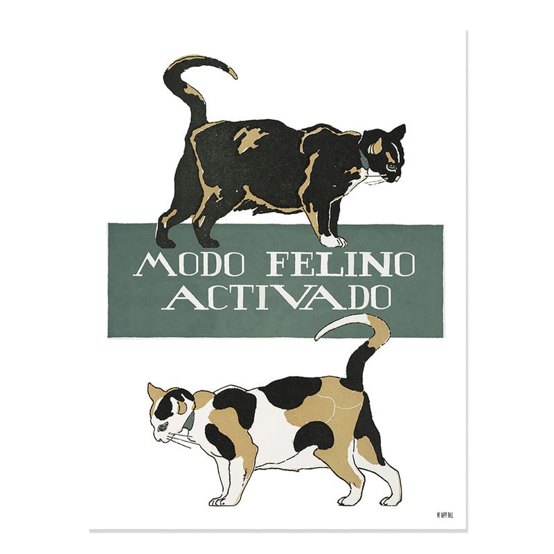 Lámina Modo Felino