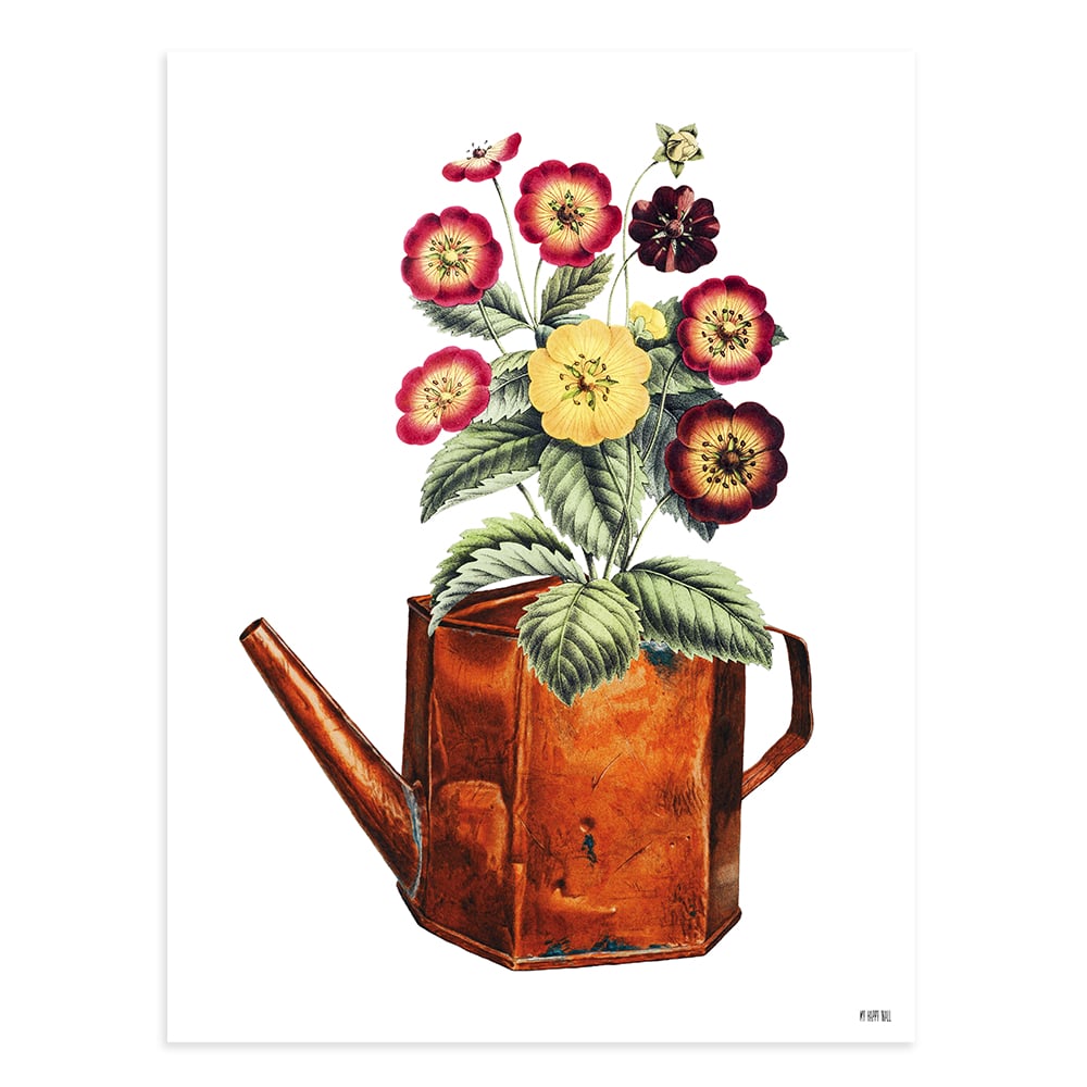 Lámina Regadera y Flores