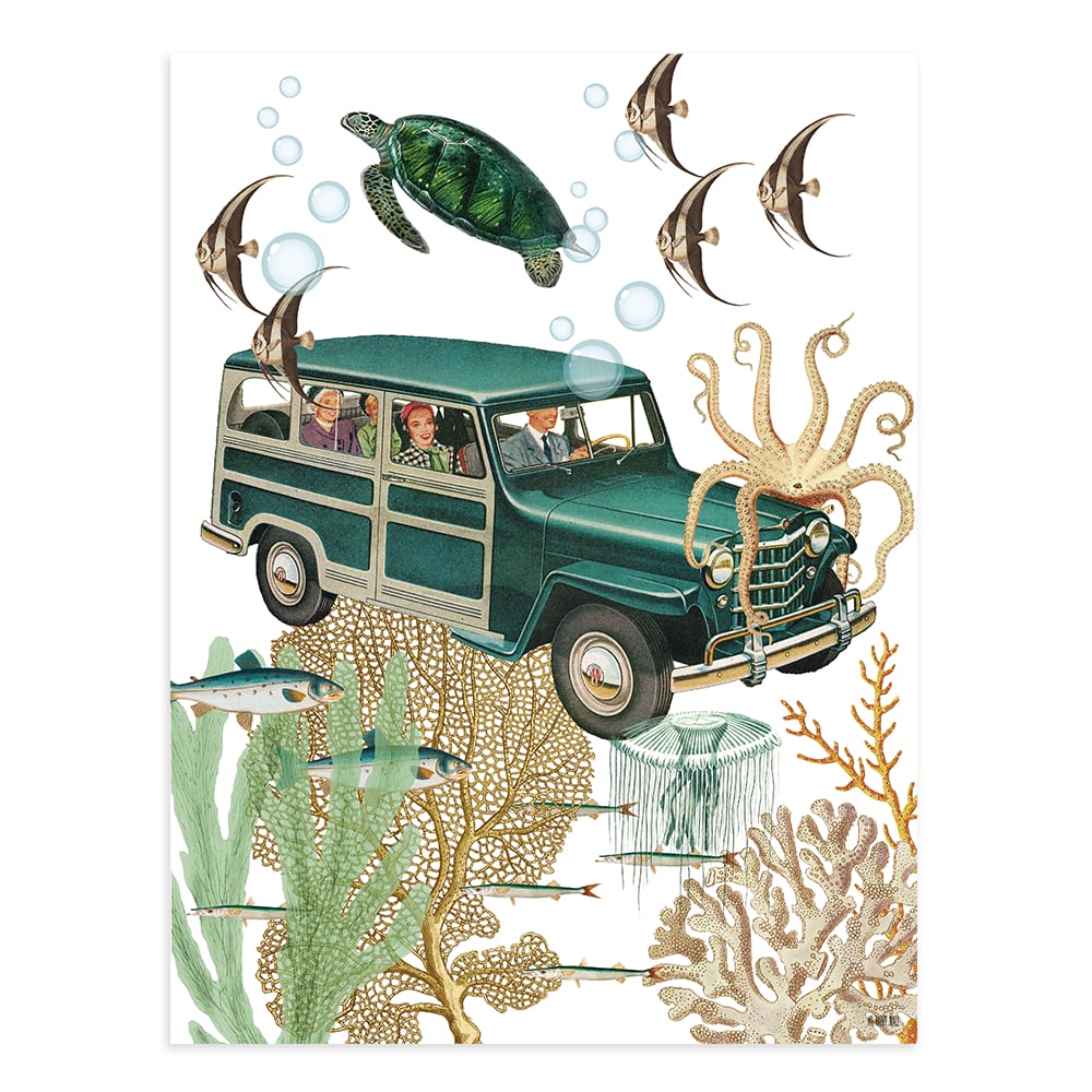 Lámina Coche Acuático